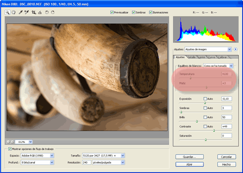 Temperatura de color y matiz en Camera RAW