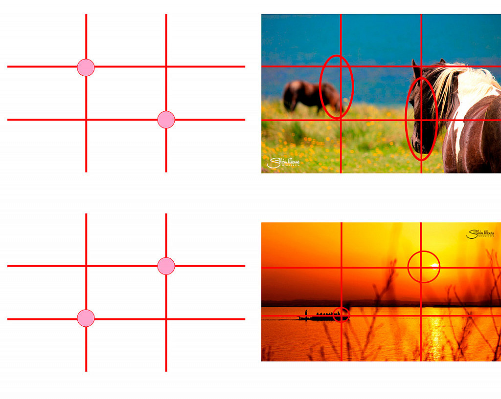 La Regla De Los Tercios Qué Es Y Cómo Usarla 6583