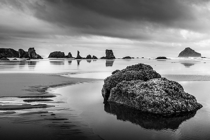 Guía De Fotografía En Blanco Y Negro