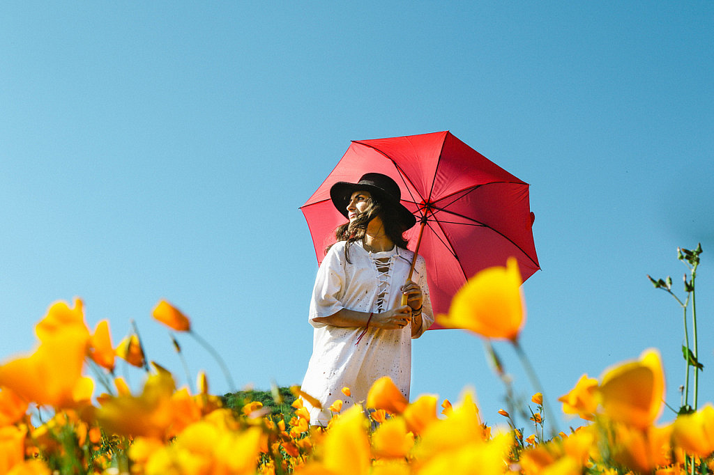 Utiliza El Contraste De Color Para Crear Fotografías Más Impactantes 8257